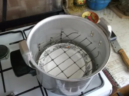 Коптильня-скороварка своїми руками (руками) Коптильня-скороварка своїми руками