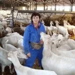 Розведення коропа в ставках і басейнах, сільгосп бізнес (розведення) Розведення коропа в ставках і басейнах, сільгосп бізнес