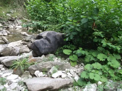 Тут не кваплять час, відгук від туриста milok8050 на (тут) Тут не кваплять час, відгук від туриста milok8050 на