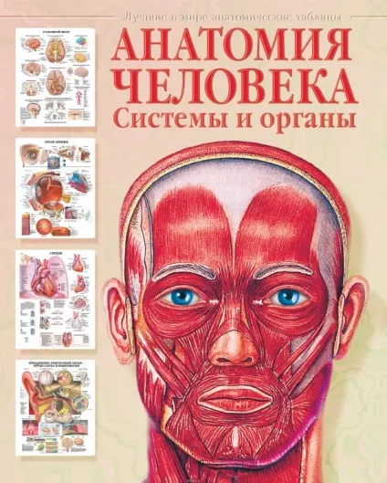 Цікава анатомія, діти і батьки
