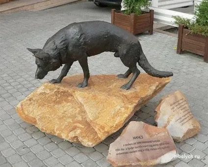 Знамениті собаки на службі людини (людини) Знамениті собаки на службі людини