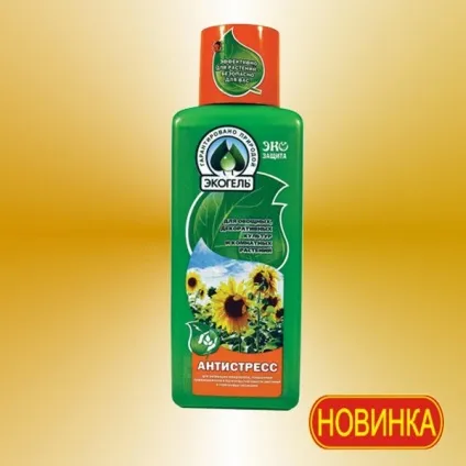 Жовтіють листя у огірків - чому це відбувається, що робити, ніж поливати і підгодовувати огірки (чому) Жовтіють листя у огірків - чому це відбувається, що робити, ніж поливати і підгодовувати огірки
