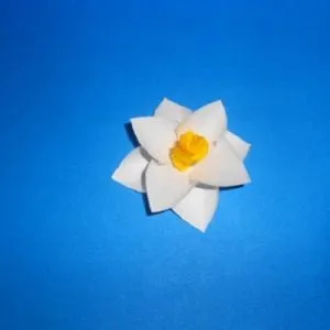 Аплікація - первоцвіти