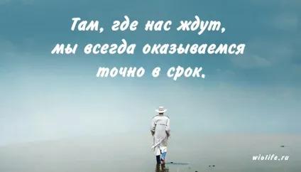 40 надихаючі цитати пауло коельо