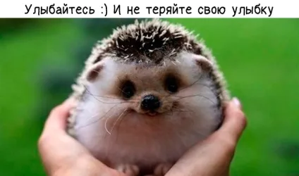 5 Причин посміхнутися