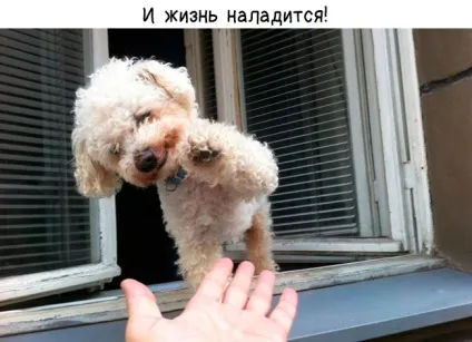 5 Причин посміхнутися