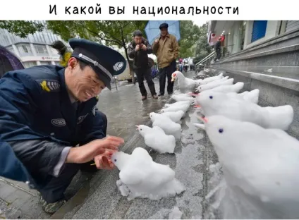 5 Причин посміхнутися