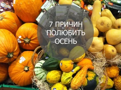 7 Причин полюбити осінь - будинок, в який хочеться приходити (причин) 7 Причин полюбити осінь - будинок, в який хочеться приходити