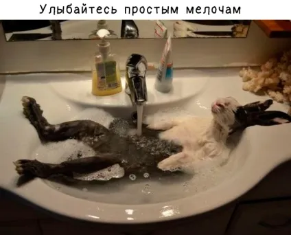 5 Причин посміхнутися