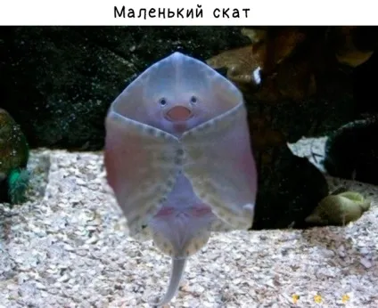 5 Причин посміхнутися
