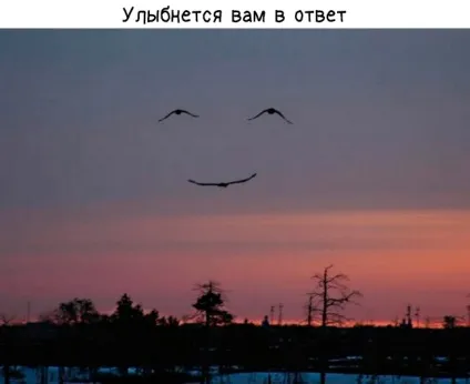 5 Причин посміхнутися