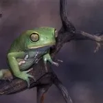 Блог фотографа, зйомка в сонячний день (день) Блог фотографа, зйомка в сонячний день