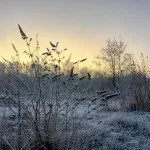 Блог фотографа, зйомка в сонячний день (яскравий сонячний полудень) Блог фотографа, зйомка в сонячний день