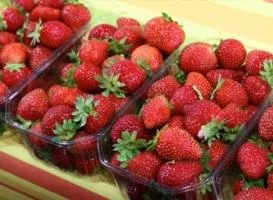 Бізнес план по розведенню курей з докладними розрахунками безкоштовний, вкладення від 245000 руб (план) Бізнес план по розведенню курей з докладними розрахунками безкоштовний, вкладення від 245000 руб