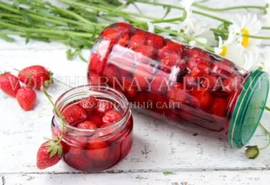 Страви з птиці, чарівна