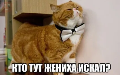Без мужика і життя не та! (Мужика) Без мужика і життя не та!
