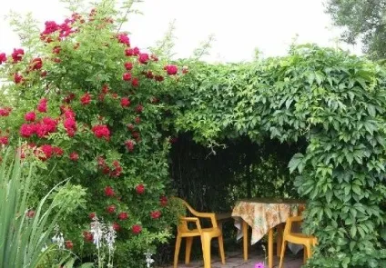 Благоустрій альтанки як прикрасити дитячу площадку декор (декор) Благоустрій альтанки як прикрасити дитячу площадку декор