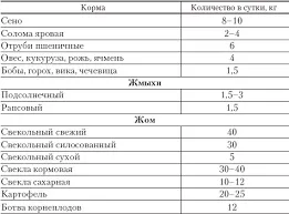 Чим годувати корову після отелення в домашніх умовах (домашніх) Чим годувати корову після отелення в домашніх умовах