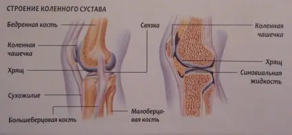 Болить колінної чашечки при згинанні чому (згинанні) Болить колінної чашечки при згинанні чому