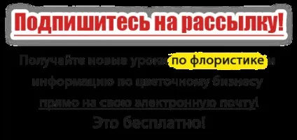 Букет з гербер в каркасі, букет своїми руками (букет своїми руками) Букет з гербер в каркасі, букет своїми руками