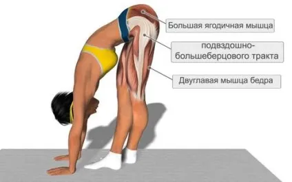Бурсит тазостегнового суглоба причини, симптоми, лікування (тазостегнового) Бурсит тазостегнового суглоба причини, симптоми, лікування
