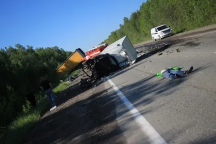 Бродячі собаки причина аварій і дтп зі смертельним результатом (бродячі) Бродячі собаки причина аварій і дтп зі смертельним результатом