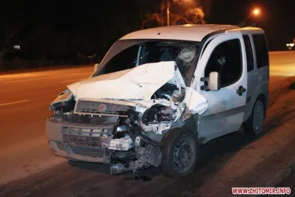 Бродячі собаки причина аварій і дтп зі смертельним результатом (вискочила дорогу собаку) Бродячі собаки причина аварій і дтп зі смертельним результатом