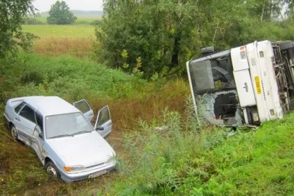 Бродячі собаки причина аварій і дтп зі смертельним результатом (бродячі) Бродячі собаки причина аварій і дтп зі смертельним результатом