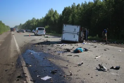 Бродячі собаки причина аварій і дтп зі смертельним результатом (собаки) Бродячі собаки причина аварій і дтп зі смертельним результатом