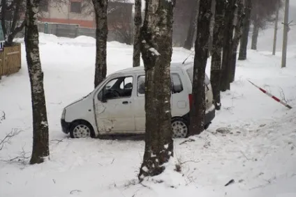 Бродячі собаки причина аварій і дтп зі смертельним результатом (бродячі) Бродячі собаки причина аварій і дтп зі смертельним результатом