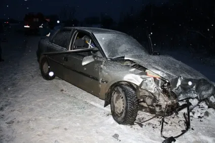 Бродячі собаки причина аварій і дтп зі смертельним результатом (наїхав собаку перекинувся) Бродячі собаки причина аварій і дтп зі смертельним результатом