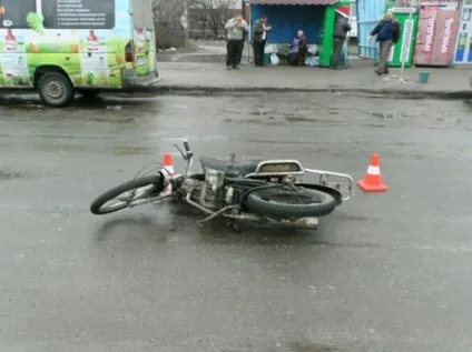 Бродячі собаки причина аварій і дтп зі смертельним результатом (собаки) Бродячі собаки причина аварій і дтп зі смертельним результатом