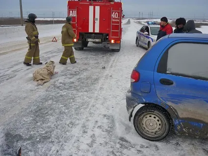 Бродячі собаки причина аварій і дтп зі смертельним результатом (собаки) Бродячі собаки причина аварій і дтп зі смертельним результатом