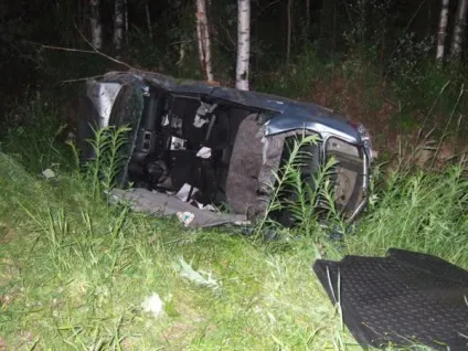 Бродячі собаки причина аварій і дтп зі смертельним результатом (собаки) Бродячі собаки причина аварій і дтп зі смертельним результатом