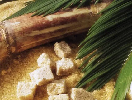 Чим корисний коричневий тростинний цукор, продукти і напої, кухня, аргументи і факти (коричневий) Чим корисний коричневий тростинний цукор, продукти і напої, кухня, аргументи і факти