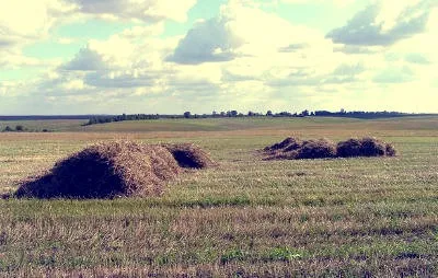Що потрібно знати при будівництві дерев'яного будинку rucountry (глибина промерзання грунту) Що потрібно знати при будівництві дерев'яного будинку rucountry