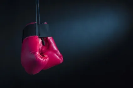 Що потрібно знати, вибираючи для тайського боксу рукавички (тайського) Що потрібно знати, вибираючи для тайського боксу рукавички