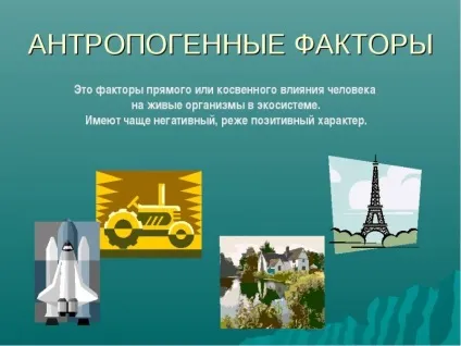 Що таке біосистеми визначення та види - цвях! (Біосистеми) Що таке біосистеми визначення та види - цвях!