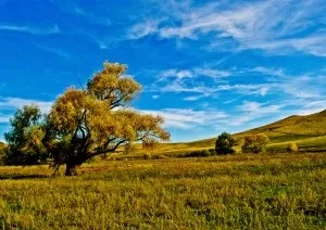 Що таке web дизайн сайту