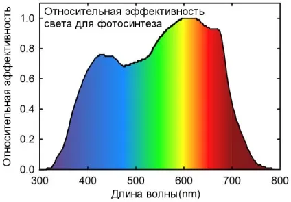 Що таке par і які ще характеристики врахувати при виборі ламп (ламп) Що таке par і які ще характеристики врахувати при виборі ламп