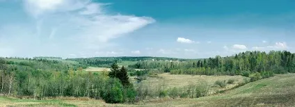 Дерев'яні будинки під ключ