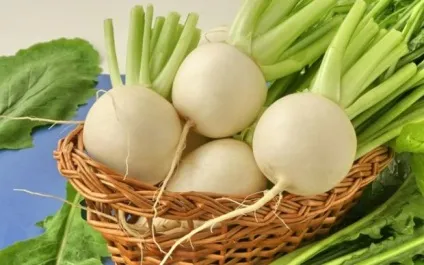 Ріпа корисні властивості, харчова цінність і протипоказання продукту