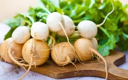 Ріпа корисні властивості, харчова цінність і протипоказання продукту