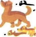 Догообразние собаки 1
