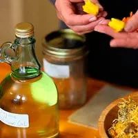 Екзема (дерматит, себорея) вуха лікування, ознаки та симптоми (дерматит) Екзема (дерматит, себорея) вуха лікування, ознаки та симптоми