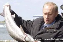 Dreamfisher-все про рибалку-опис риб-стерлядь (літня рибалка) Dreamfisher-все про рибалку-опис риб-стерлядь