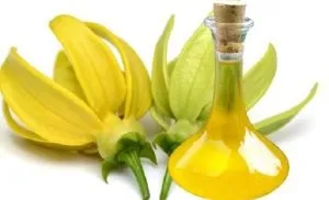 Ефірні масла для нігтів - корисні поради та рецепти