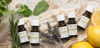 Ефірні масла aura cacia, огляди російською мовою (масла) Ефірні масла aura cacia, огляди російською мовою