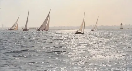 Думаєш, звичайна фотографія збільш - з глузду з'їхати можна!