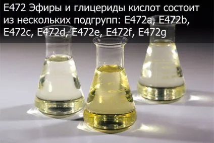 E472 ефіри і гліцериди кислот - дія на здоров'я, користь і шкода, опис (гліцериди) E472 ефіри і гліцериди кислот - дія на здоров'я, користь і шкода, опис